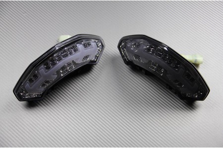 Fanale posteriore indicatori di direzione integrato DUCATI MULTISTRADA 1200 2010 - 2014