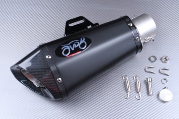 AVDB Slip On Exhaust to adapt - " La huitième symphonie "