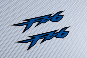 Stickers FZ6 Stickers FZ6