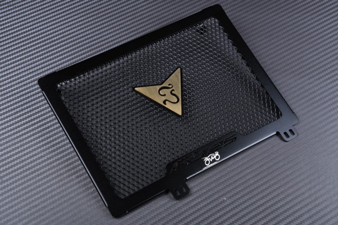 Kühlergrill- Abdeckung AVDB YAMAHA YZF R125 / MT125 2008 - 2018 Kühlergrill- Abdeckung AVDB YAMAHA YZF R125 / MT125 2008 - 2018