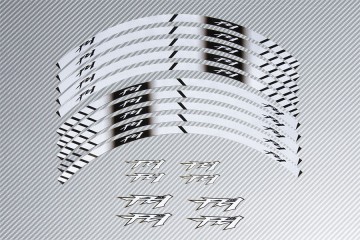 Strisce nastro adesivo racing per cerchio ruota YAMAHA - Modello FZ1 Strisce nastro adesivo racing per cerchio ruota YAMAHA - Modello FZ1