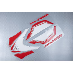 Kanzel Verkleidung Sticker DUCATI PANIGALE 1299 / S 959 2015 - 2019