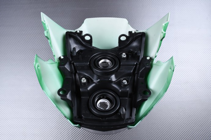 PACK Frontverkleidung + Scheinwerfer KAWASAKI ER6 N 2012 - 2016 PACK Frontverkleidung + Scheinwerfer KAWASAKI ER6 N 2012 - 2016