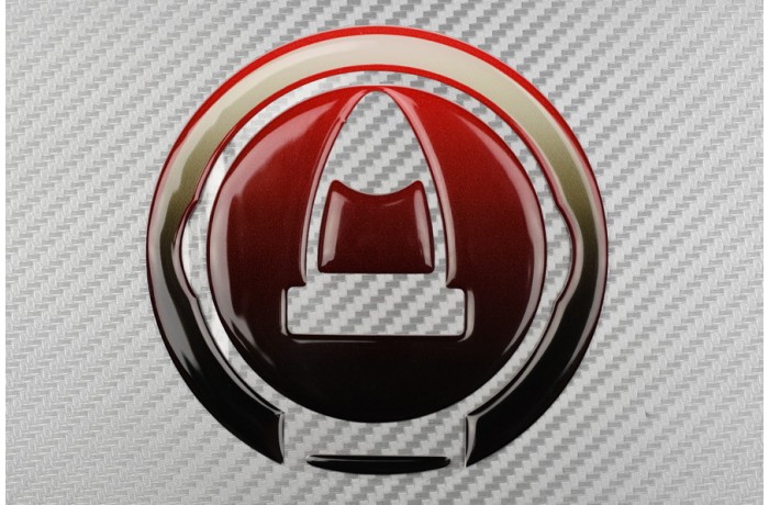 Modello 1