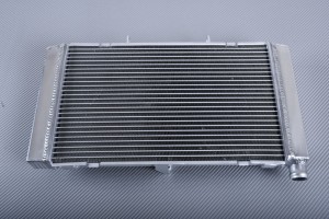 Radiateur HONDA HORNET 600 / CBF 600 2007 - 2013
