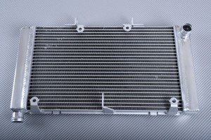 Kühler HONDA HORNET 600 / CBF 600 2007 - 2013 Kühler HONDA HORNET 600 / CBF 600 2007 - 2013