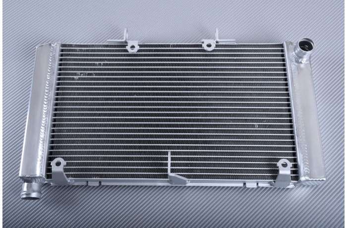 Radiator HONDA HORNET 600 / CBF 600 2007 - 2013 Radiator HONDA HORNET 600 / CBF 600 2007 - 2013