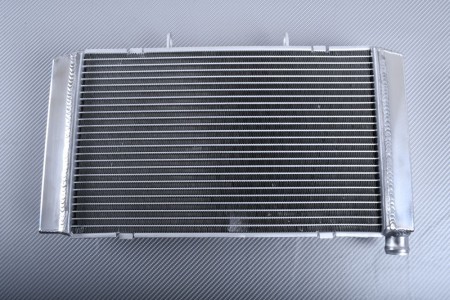 Radiador HONDA HORNET 600 / CBF 600 2007 - 2013