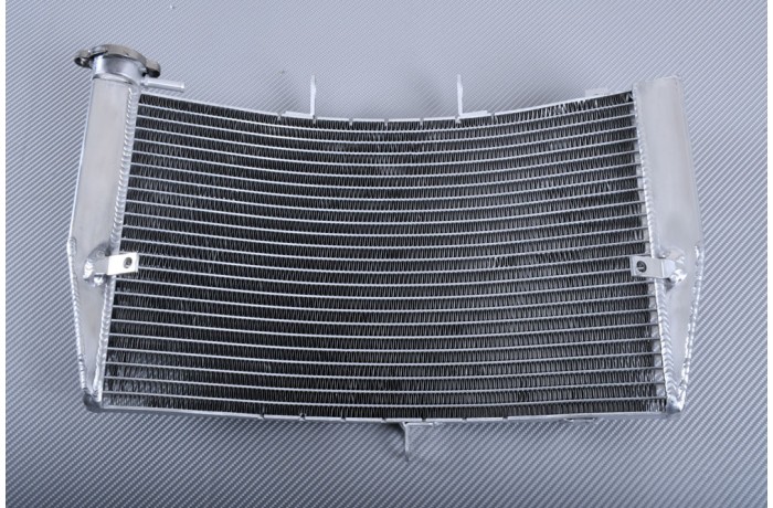 Racing model