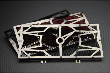 Kühlergrill- Abdeckung KAWASAKI ER6 N / F / VERSYS 650 2006 - 2016