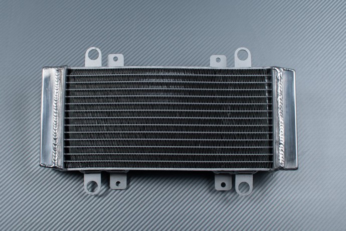 Kühler KAWASAKI NINJA 300R / Z300 2013 - 2018
