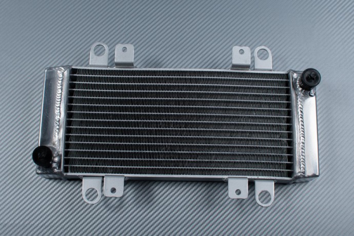 Kühler KAWASAKI NINJA 300R / Z300 2013 - 2018
