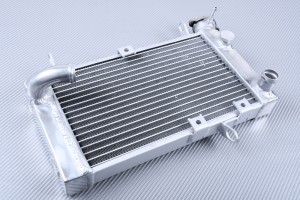 Radiator SUZUKI SV 650 N 1999 - 2002