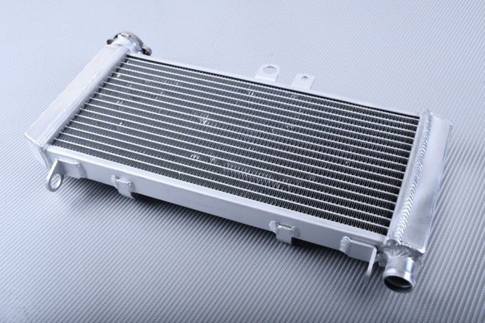 Radiatore HONDA CBF 600 S 2004 - 2007