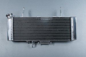Radiator SUZUKI SV 650 N 2003 - 2004