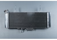 Radiatore SUZUKI SV 650 N 2003 - 2004
