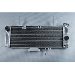 Radiatore SUZUKI SV 650 N 2003 - 2004