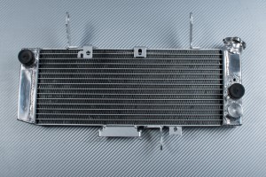 Radiateur SUZUKI SV 650 N 2003 - 2004