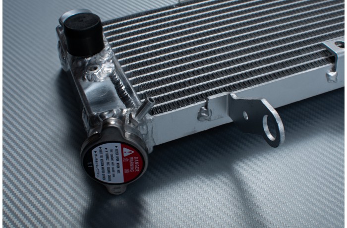 Radiador SUZUKI SV 650 N 2003 - 2004