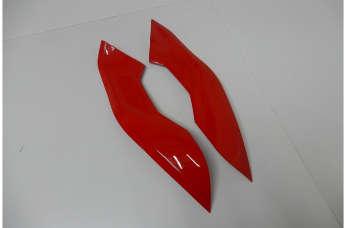 Komplette Motorradverkleidung BMW S1000RR 2019 - 2022