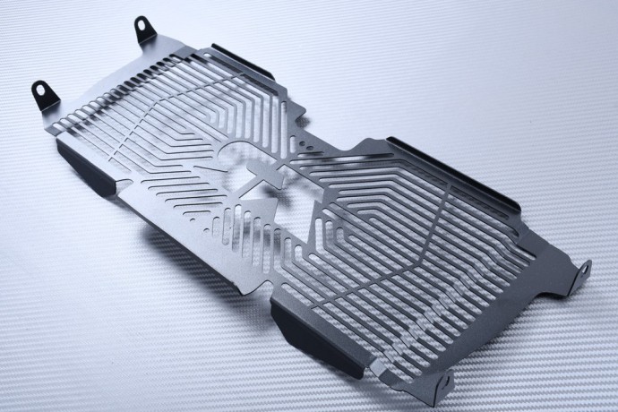 Kühlergrill- Abdeckung BMW R1200R / R1250R 2014 - 2024