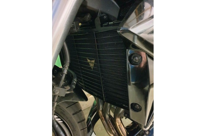 Kühlergrill- Abdeckung AVDB HONDA CB1000R / CBF 1000F 2008 - 2017