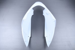 Codone KAWASAKI ZX12R 2000 - 2001