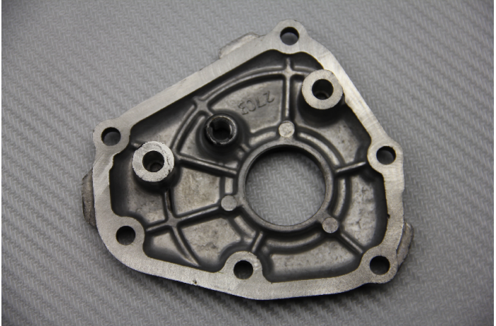 Carter Allumage YAMAHA YZF R1 / FZ1 / FZ8 / FAZER 800 / 1000 2004 - 2016 Carter Allumage YAMAHA YZF R1 / FZ1 / FZ8 / FAZER 800 / 1000 2004 - 2016