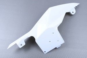Coque arrière BMW S1000RR / HP4 / S1000R 2014 - 2020