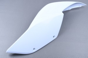 Coque arrière DUCATI PANIGALE 959 / 1299 2015 - 2019