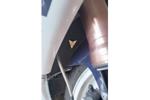 Rejilla protectora del radiador AVDB SUZUKI GSXR 1000 2005 - 2006 Rejilla protectora del radiador AVDB SUZUKI GSXR 1000 2005 - 2006
