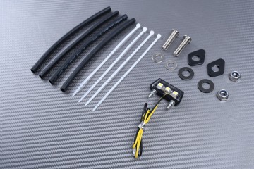 Support de plaque spécifique AVDB DUCATI SCRAMBLER 1100 2018 - 2024