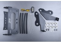 Support de plaque spécifique AVDB DUCATI MONSTER 821 / 1200 / 1200S 2014 - 2017