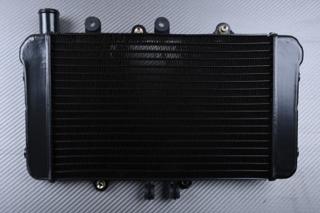 Radiador HONDA NTV 600 650 REVERE / NT 400 650 BROS 1988 - 1991