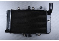 Radiador HONDA NT / NTV 400 / 600 / 650 REVERE / BROS 1988 - 1997