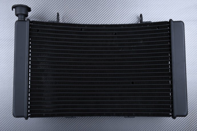 Radiador BENELLI TRE-K 899 2009 - 2014 Radiador BENELLI TRE-K 899 2009 - 2014