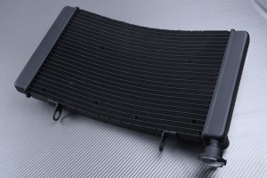 Radiador BENELLI TRE-K 899 2009 - 2014 Radiador BENELLI TRE-K 899 2009 - 2014