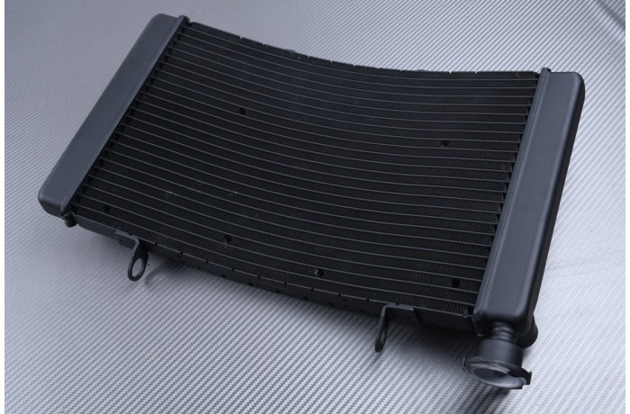 Radiador BENELLI TRE-K 899 2009 - 2014 Radiador BENELLI TRE-K 899 2009 - 2014