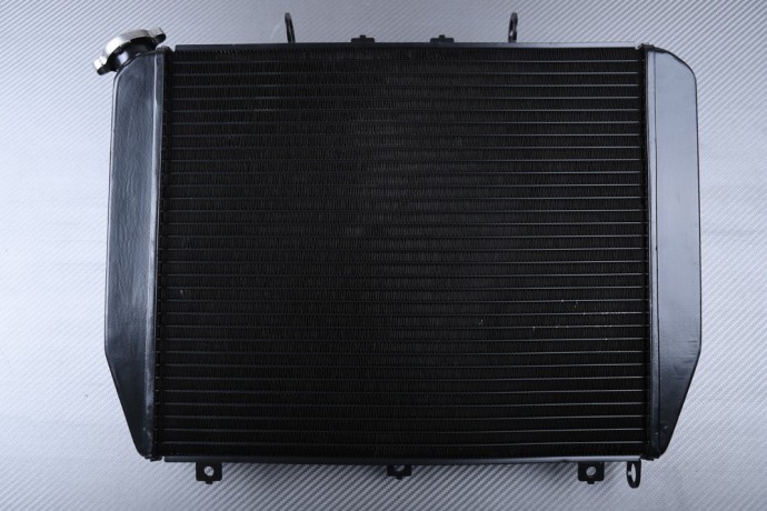 Radiator KAWASAKI ZX12R Ninja 2000 - 2001 Radiator KAWASAKI ZX12R Ninja 2000 - 2001