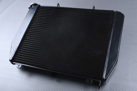 Radiatore KAWASAKI ZX12R Ninja 2000 - 2001