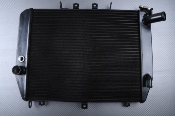 Radiator KAWASAKI ZX12R Ninja 2000 - 2001 Radiator KAWASAKI ZX12R Ninja 2000 - 2001
