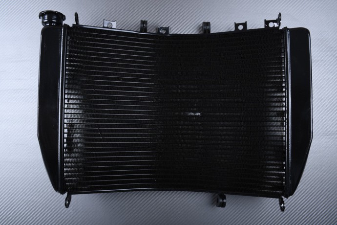 Radiateur KAWASAKI ZX9R 1998 - 2003 Radiateur KAWASAKI ZX9R 1998 - 2003