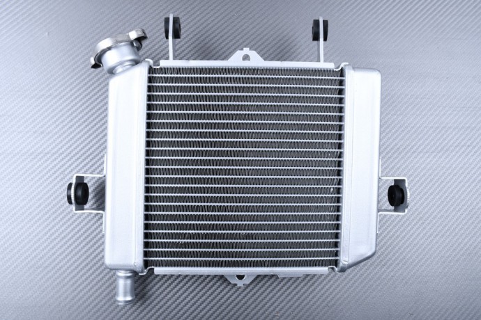 Radiateur SUZUKI GSX-S / GSXR 125 R 2017 - 2024