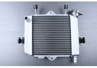 Radiatore SUZUKI GSX-S / GSXR 125 R 2017 - 2024