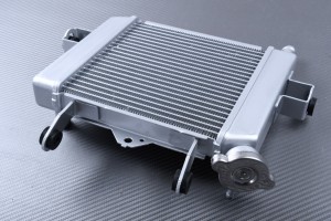 Radiateur SUZUKI GSX-S / GSXR 125 R 2017 - 2024
