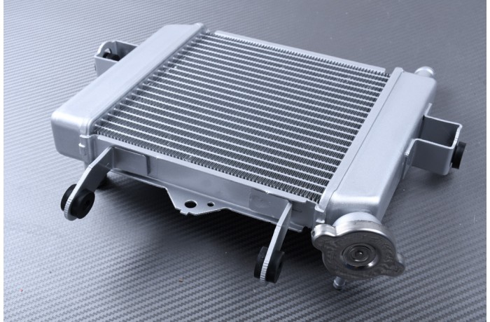 Radiateur SUZUKI GSX-S / GSXR 125 R 2017 - 2024