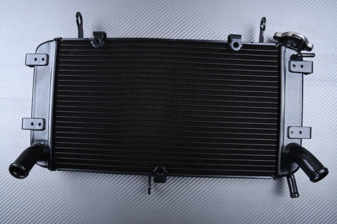 Radiador SUZUKI GSX-S 750 2017 - 2021
