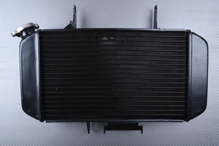 Radiador SUZUKI DL VSTROM 650 2004 - 2011