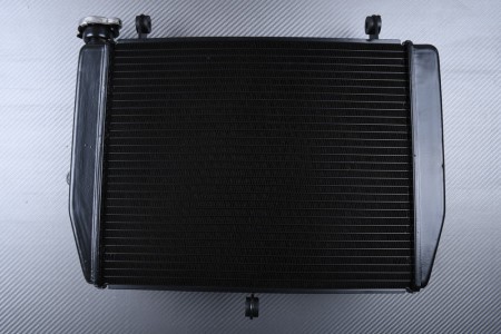 Radiatore YAMAHA YZF R6 1999 - 2002