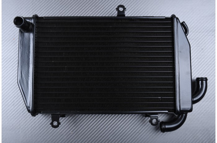 Radiateur HONDA GOLDWING GL 1800 / F6B BAGGER 2006 - 2018